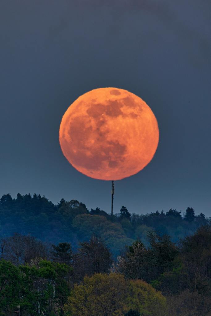 Extraordinary Scenery: Why Once-in-a-Lifetime Events Deserve a Place in the School&nbsp;Calendar